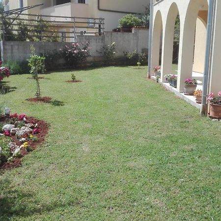 Apartment Barba Ližnjan Dış mekan fotoğraf