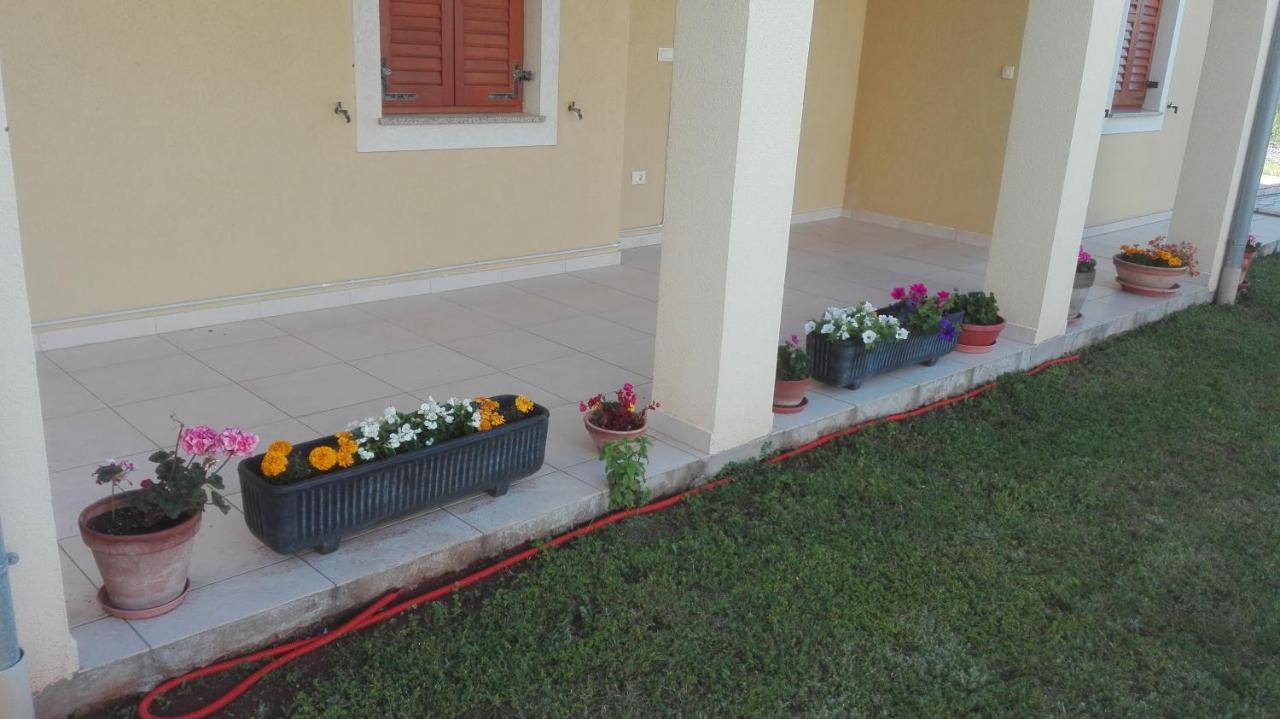 Apartment Barba Ližnjan Dış mekan fotoğraf